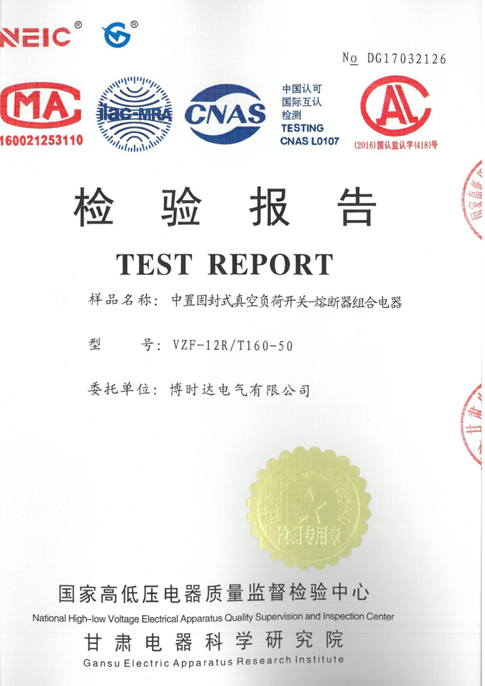 VZF-12R/T160-50中置固封式真負(fù)荷開關(guān)(檢驗(yàn)報告)